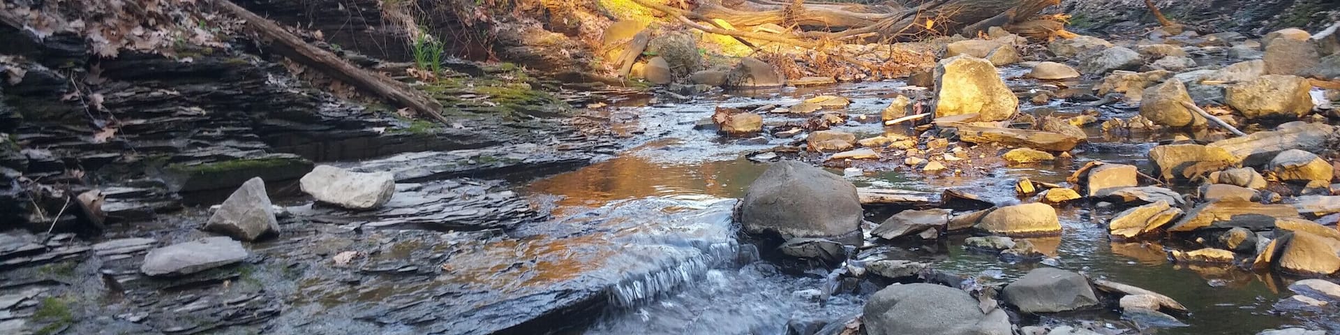 The setting sun illuminating the trees above the creek inside Glen Echo Ravine.
This spot isn't within the bounds of the actual park. It can be reached by a gravel access path behind Lucky's Market. From there, you can head east along the creek bed, through the ravine and end up inside the park.