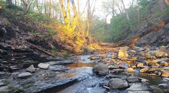 The setting sun illuminating the trees above the creek inside Glen Echo Ravine.
This spot isn't within the bounds of the actual park. It can be reached by a gravel access path behind Lucky's Market. From there, you can head east along the creek bed, through the ravine and end up inside the park.