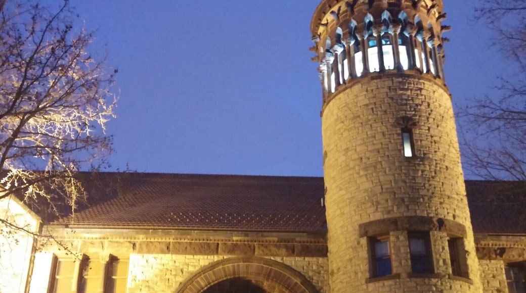 The second oldest building remaining on The Ohio State University campus, Orton Hall was opened in 1893. It is named after Dr Edward Orton, Sr. who served as Ohio State's first president, OSU Professor of Geology from 1873 to 1899, and Ohio's State Geologist from 1882 until his death in 1899.
Orton Hall is built of 40 different Ohio building stones. In the outside walls, these stones are laid in stratigraphic order according to their relative positions in Ohio's bedrock. The only non-indigenous to Ohio stone used is Indiana Limestone to build the front steps. It was chosen because of its high concentration of embedded fossils.
The bell tower was dedicated in 1915 and contains 25,000 pounds of bells that can be heard regularly tolling across campus. Encircling the top of the tower are 24 columns with gargoyle-like figures which are restorations of fossil animals.