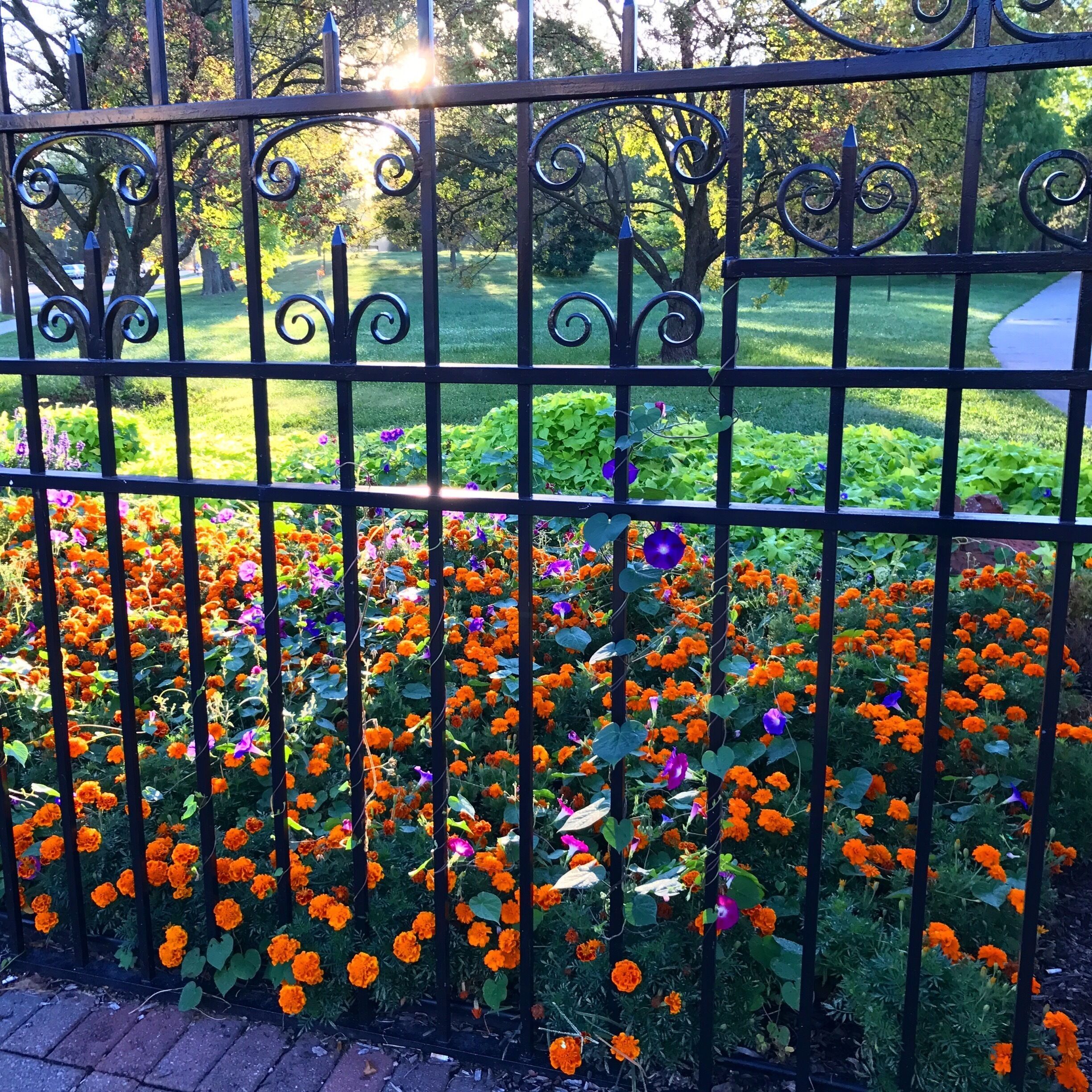 It's great visiting the #park in the morning, when it is quiet and full of beautiful morning #sunlight #patterns 