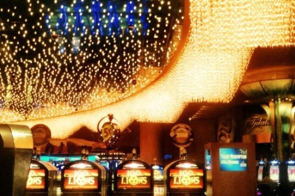 Slot machines with '100 Lions' displayed, under a canopy of lights.