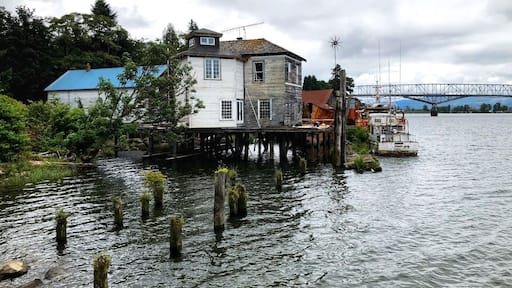 Cathlamet waterfront from Public Dock, looking upstream, along the Cathlamet Channel, Cathlamet, Washington. The old Warren Cannery building can be seen (red roof). In the background is the bridge connecting to Puget Island. (June 2019)
#Trovember