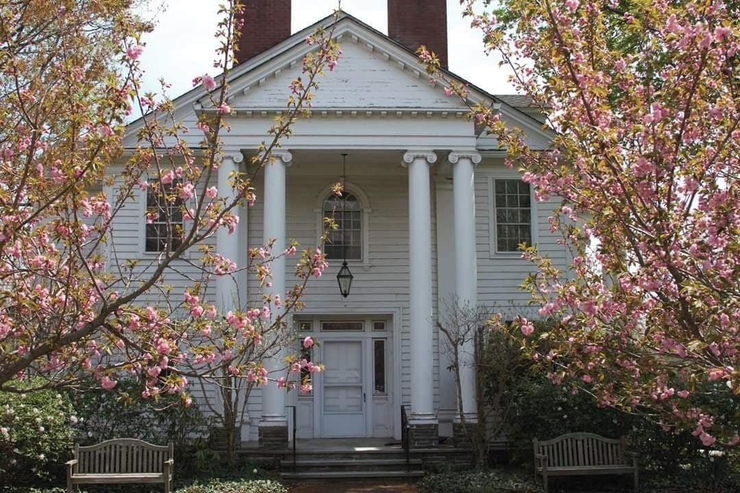 A white building with columns and a central entrance, surrounded by blooming trees.