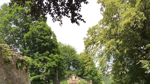 The Bait Box a playhouse build for Pinchot's son