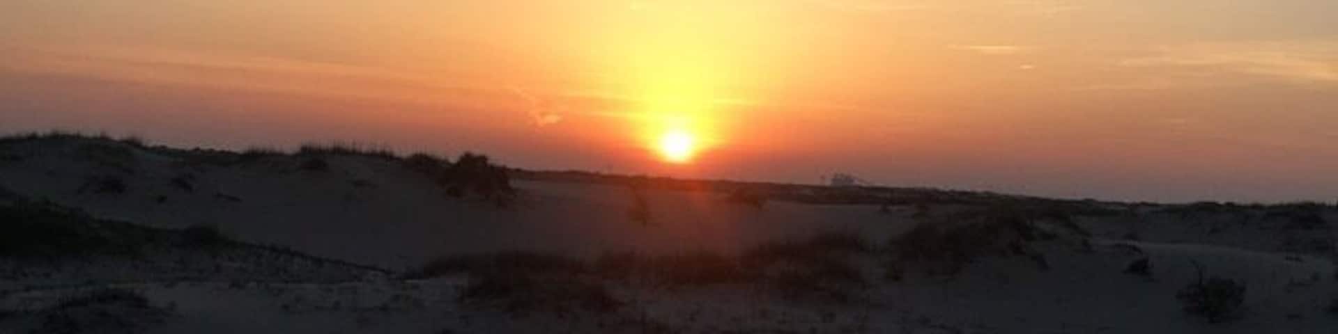 #Adventure
The most beautiful moments are the ones you stumble upon on a hot Texas sandhill.