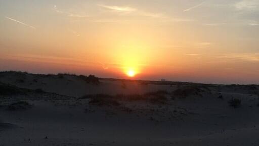 #Adventure
The most beautiful moments are the ones you stumble upon on a hot Texas sandhill.