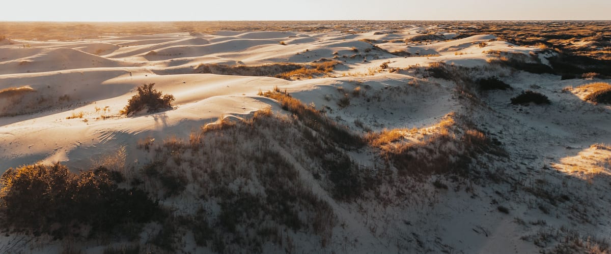 A desert landscape with rolling sand dunes and sparse vegetation.