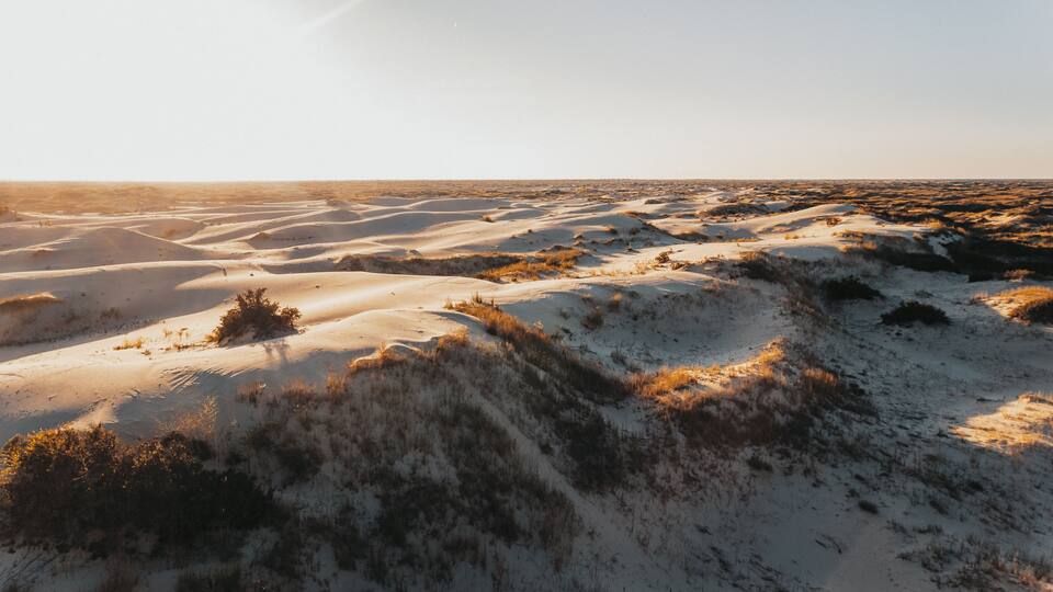 A desert landscape with rolling sand dunes and sparse vegetation.