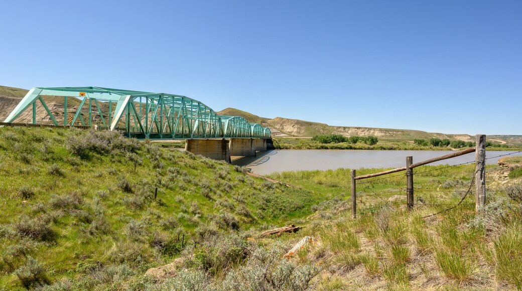 แอเบอร์ดีน