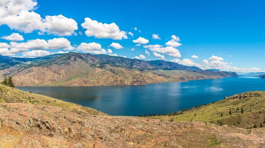 แอเบอร์ดีน