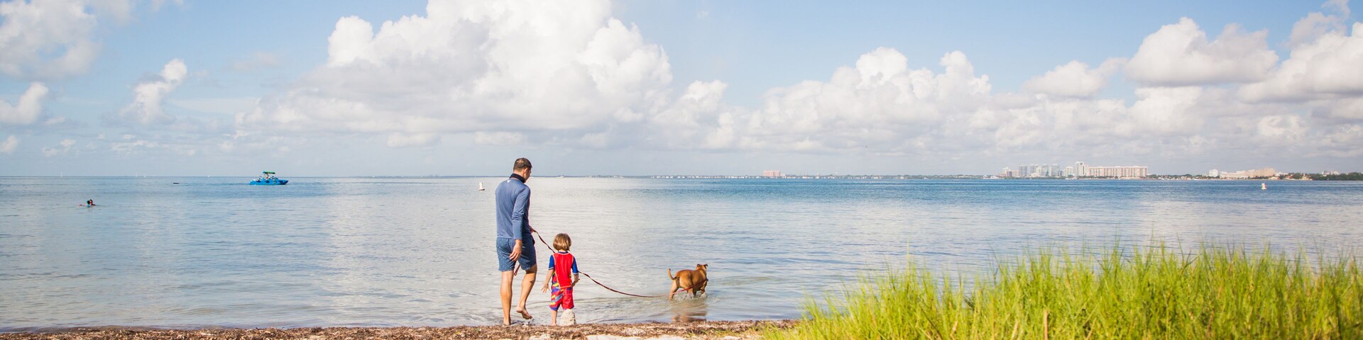 Father son and dog at the beach on a beautiful hot summer day with blue sky, white clouds, white sand, green grass, and clear water.