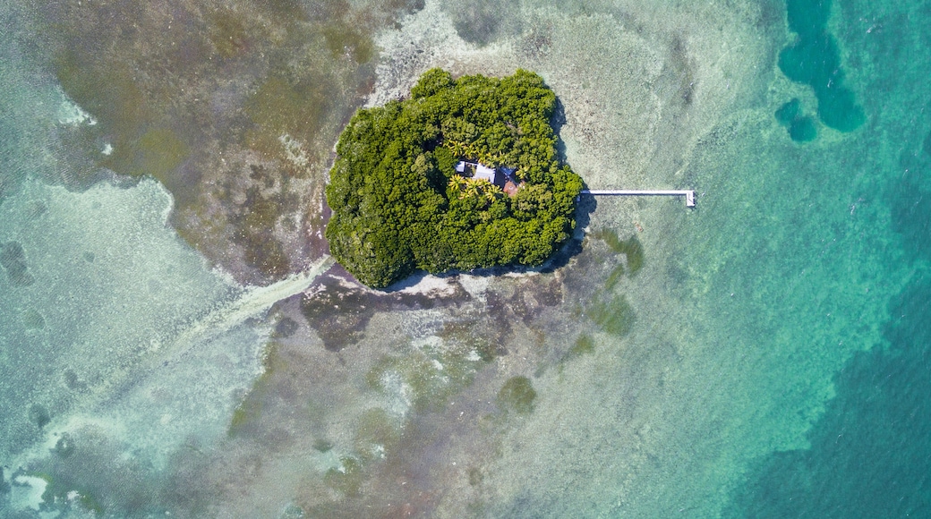 Bird's-Eye View Of Big Pine Key In Florida, Usa
