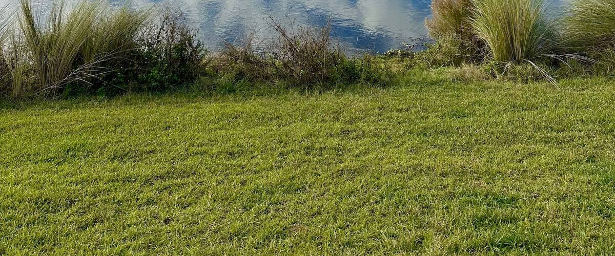 Landscape at Sweetwater Wetlands Preserve in Gainesville, FL