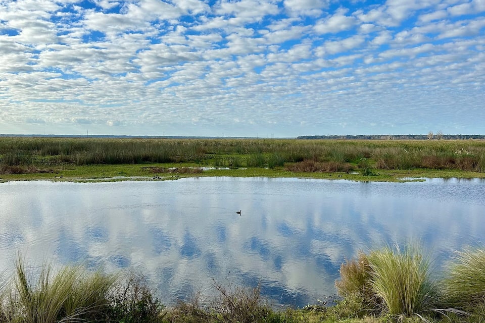 A calm lake with a grassy foreground and a cloudy sky.