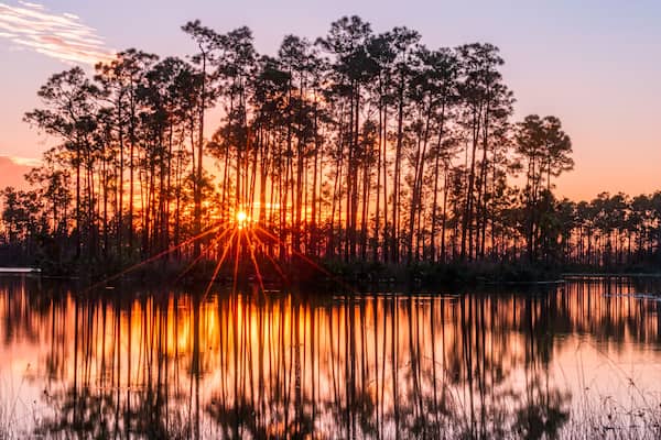 Sunset in the everglades of florida