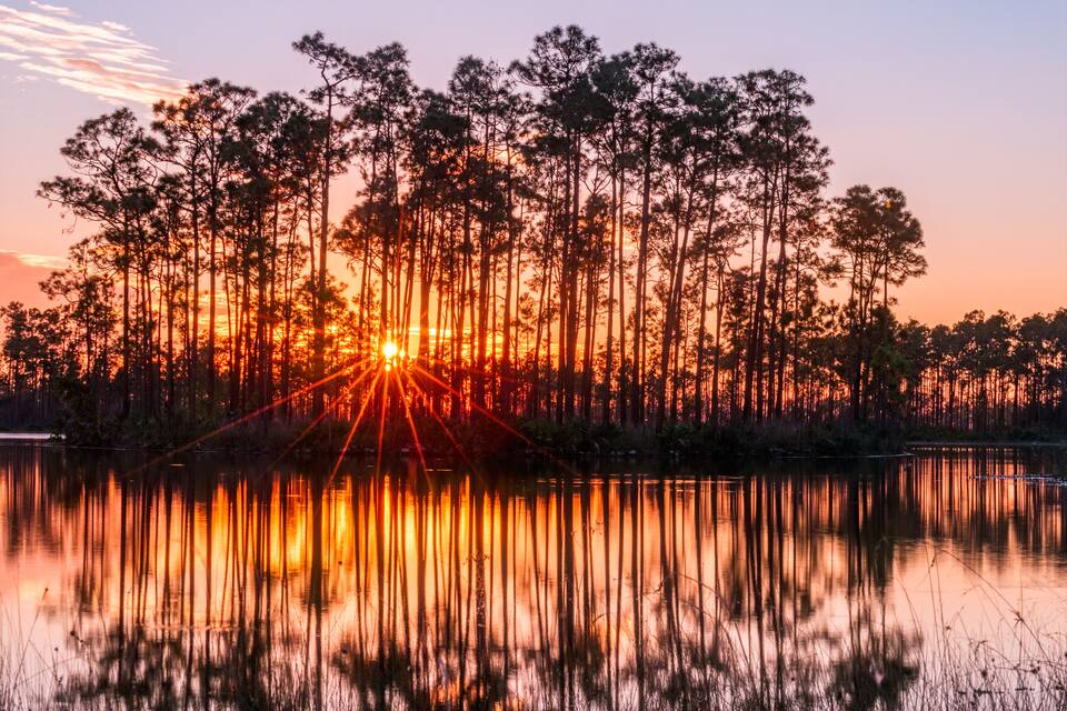 Un cel crepuscular sobre un bosc de trees alts que es reflecteix en un llac tranquil.