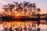 Sunset in the everglades of florida