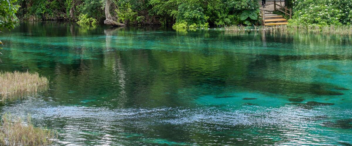 Turquois Springs at Rainbow Springs State Park.