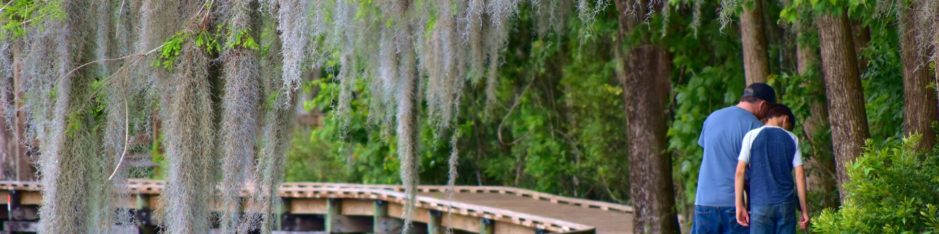 A wooden boardwalk with moss-covered trees and a bridge over water.