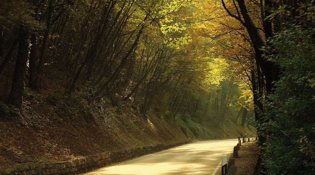Carabbia, Lugano, Switzerland