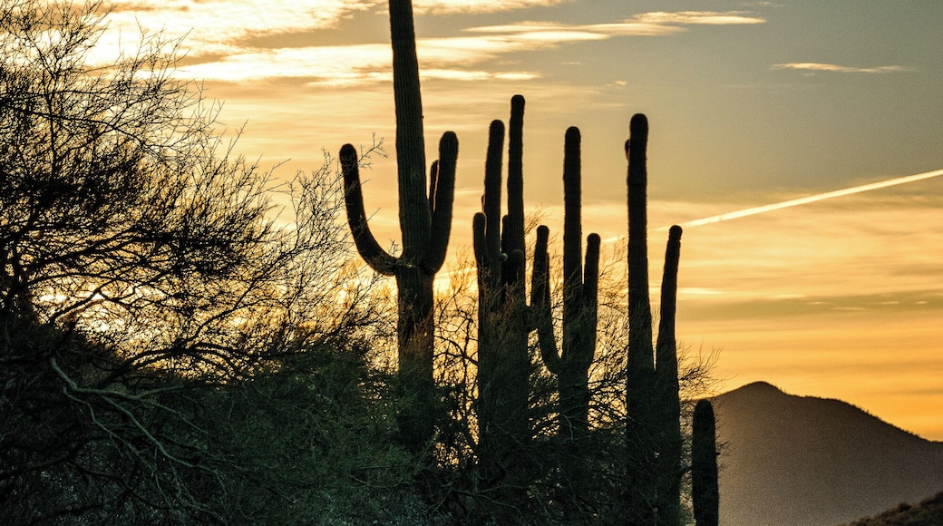 Mornings always make a great time for a hike and photo ops