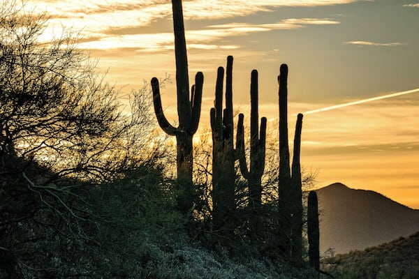 Mornings always make a great time for a hike and photo ops