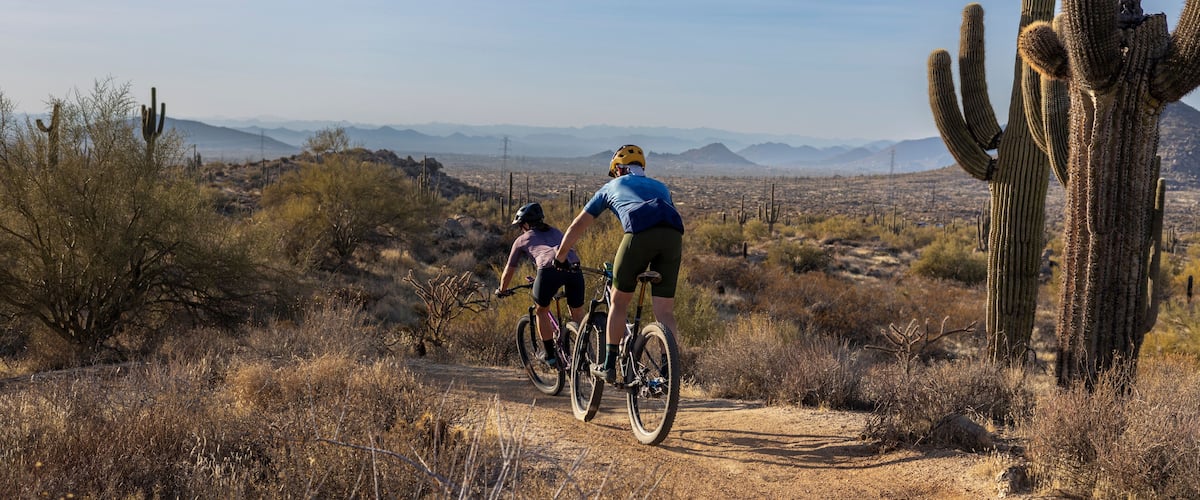 Mountain Bikers Riding Down A Sonoran Desert Trail In Scottsdale Arizona
