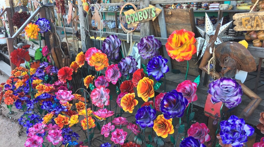 Beautiful metal art at Retablo's in Cave Creek, AZ