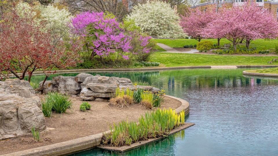 Blooming Flowers and Trees in Spring in Eden Park, Cincinnati, USA