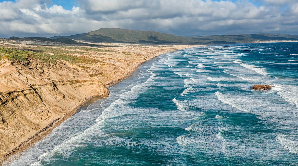 Aerial view of Mason Bay, Stewart Island, New Zealand.