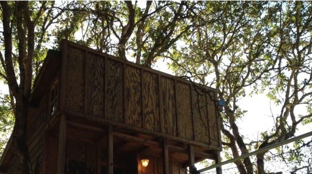 Treehouses in the forest! Really neat place to stay. #treehouse #cool #forest