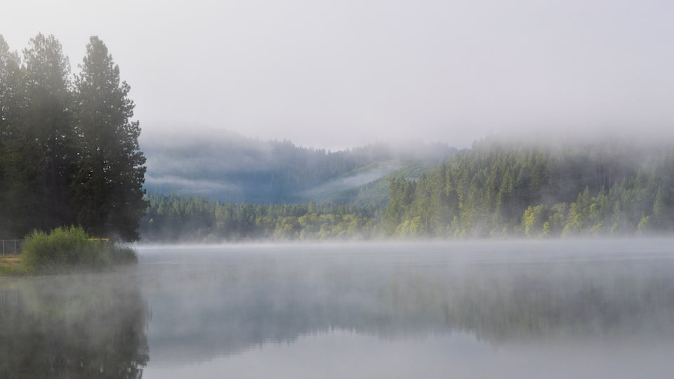 A calm lake with dense forest and mist-covered hills.