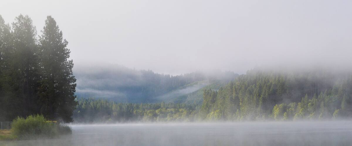 A calm lake with dense forest and mist-covered hills.