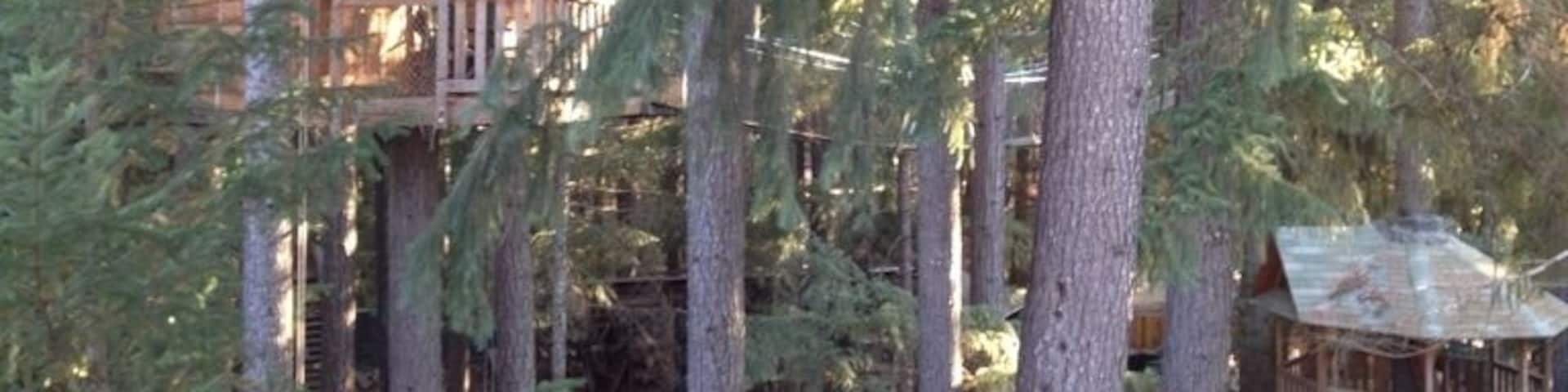 #treehouse resort. Definitely worth checking out.