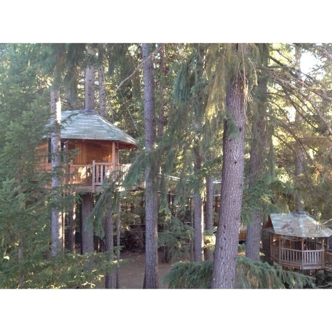 #treehouse resort. Definitely worth checking out.