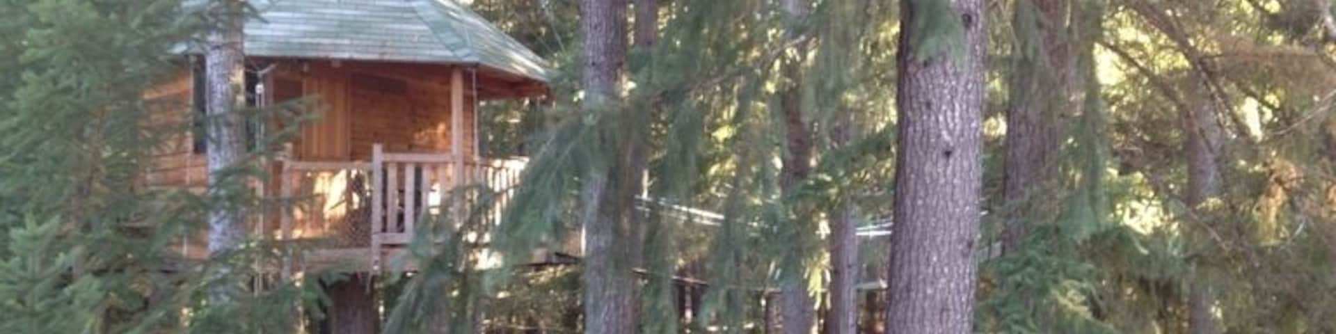 #treehouse resort. Definitely worth checking out.