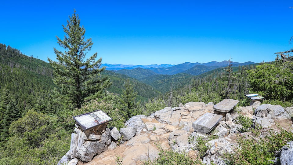 A mountainous landscape with a clear sky, rocky terrain, and a large evergreen tree.