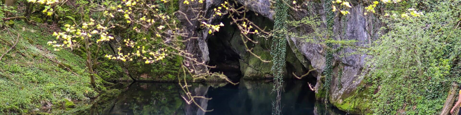 Karst spring lake with turquoise color of the water on Lake Krupajsko in Serbia on a summer day in the forest. National beauty and nature concept