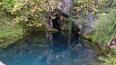 Karst spring lake with turquoise color of the water on Lake Krupajsko in Serbia on a summer day in the forest. National beauty and nature concept