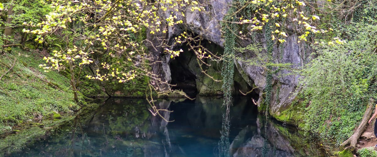 A clear, natural pool surrounded by lush greenery and rocky terrain.
