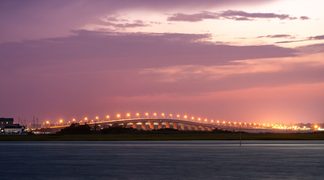 Thomas A. Mathis and J. Stanley Tunney Bridges. High quality photo