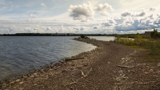 Coast of Onondaga Lake