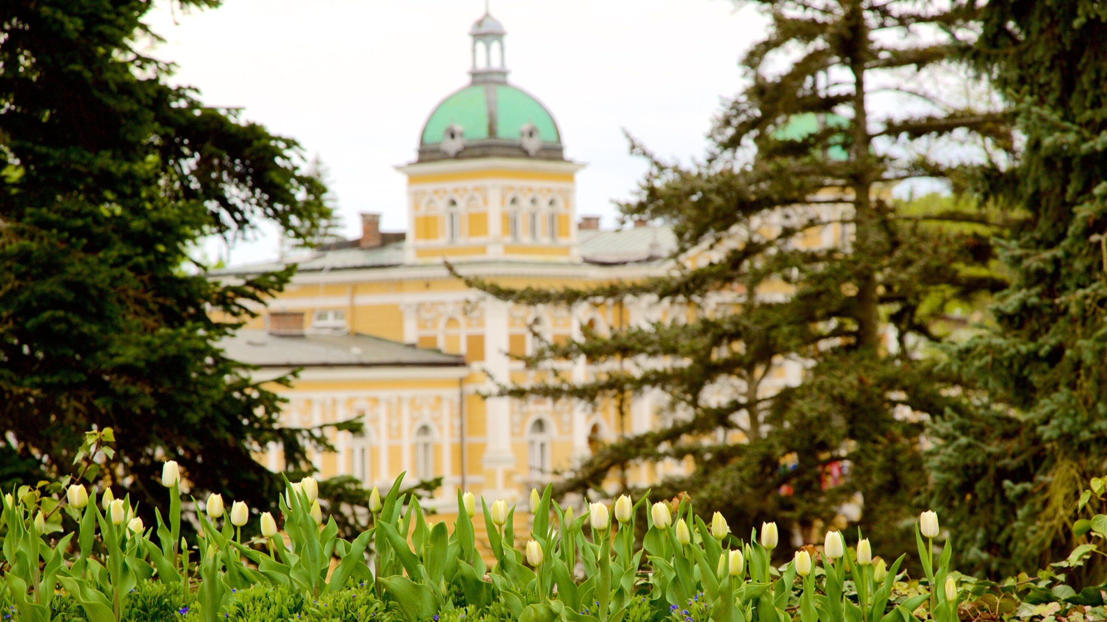 Marianske Lazne which includes flowers