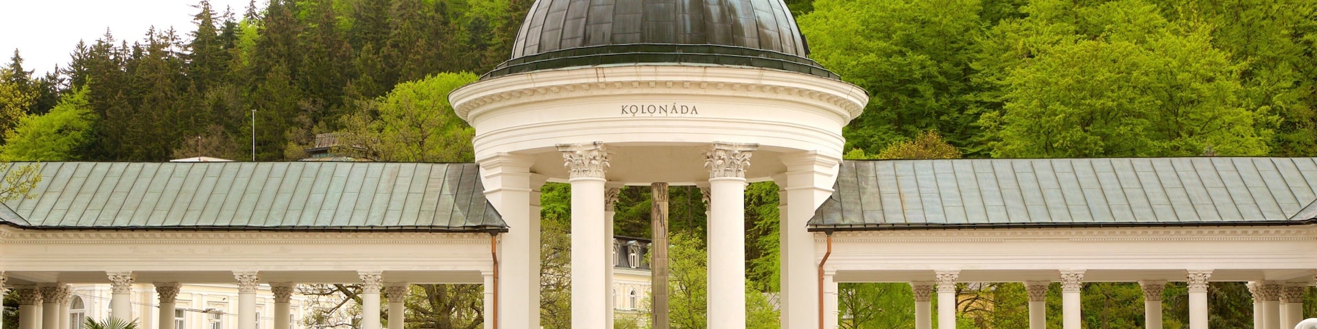 Marianske Lazne featuring a fountain