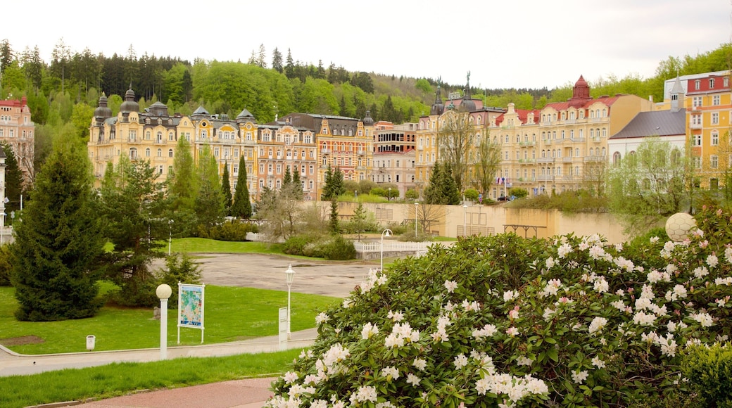 Marianske Lazne which includes a city and a park