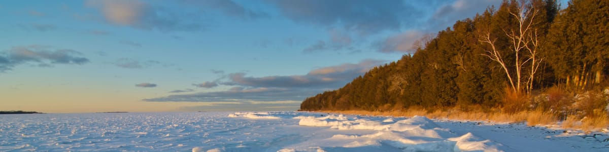 A frozen landscape with snow-covered ground and a forest in the background.