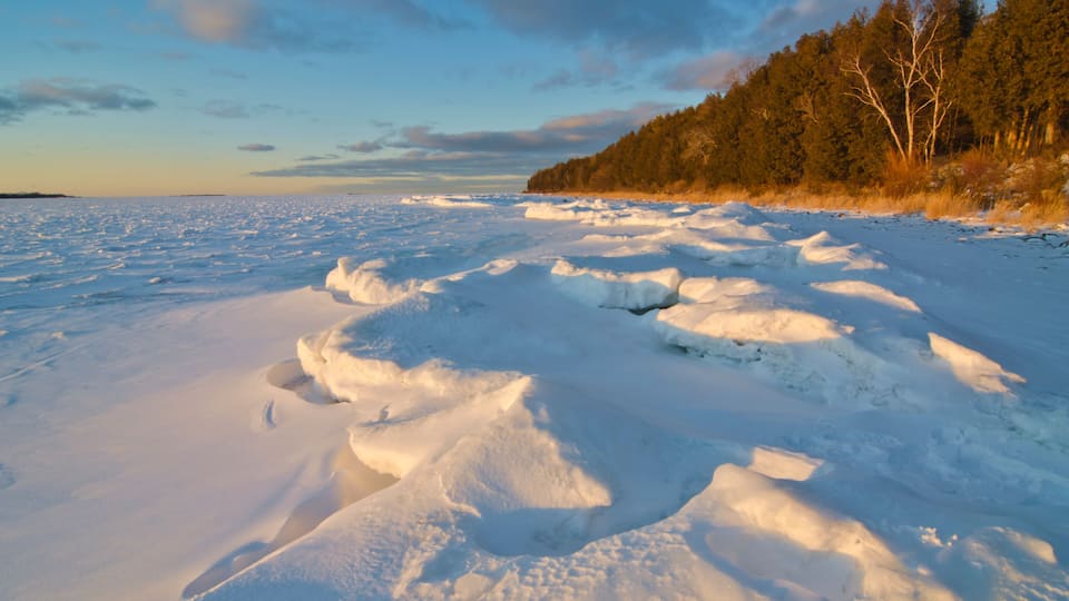 A frozen landscape with snow-covered ground and a forest in the background.