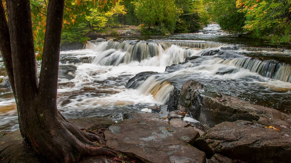 A waterfall cascading over rocks in a forested area with autumn foliage.