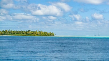 sea and landscape on Fakarava atoll, Tuamotus archipelago, French Polynesia, France,south pacific