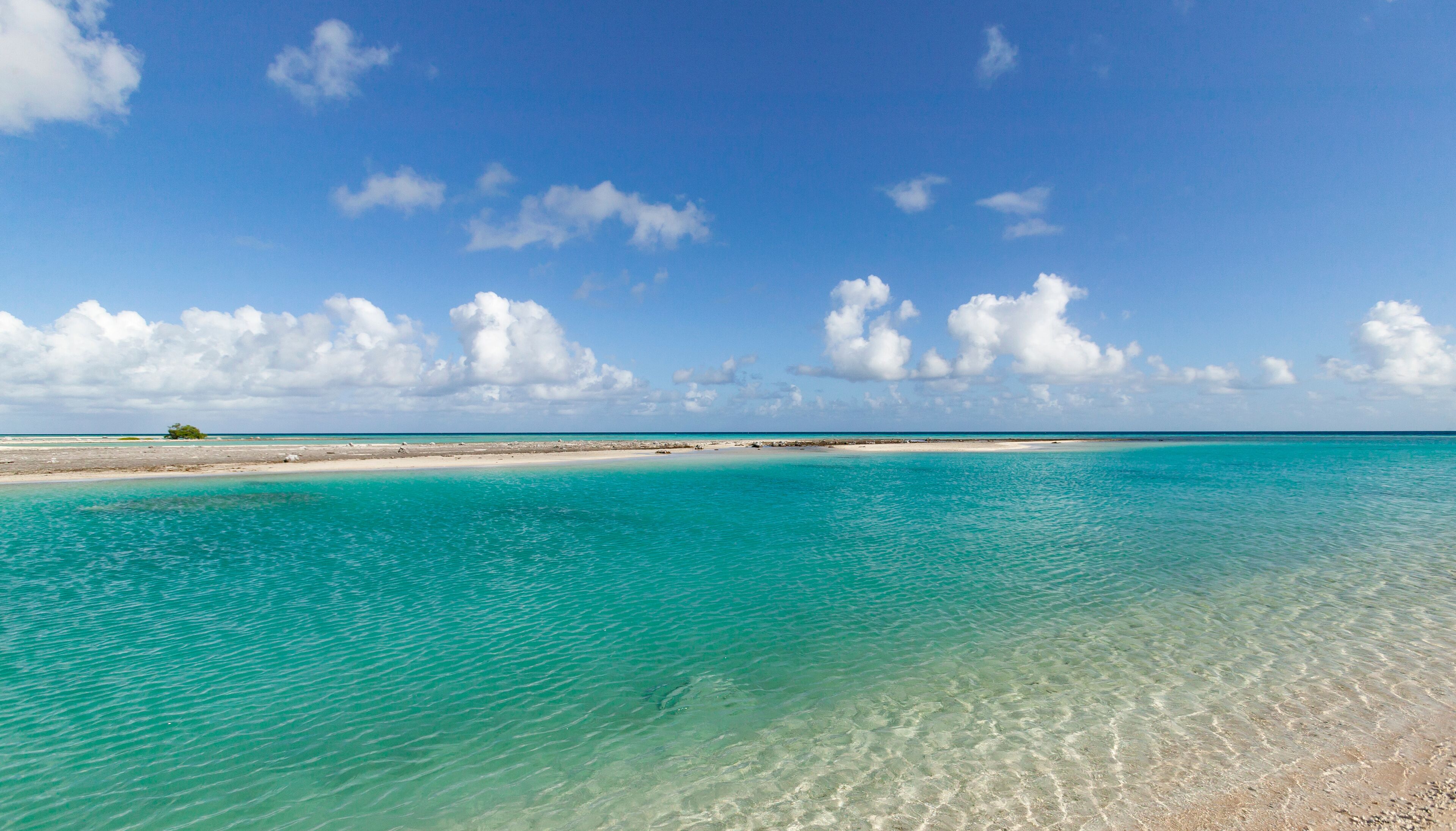 reef ring,lagoon and motu on Tahanea atoll, Tuamotus archipelago, French Polynesia, south pacific